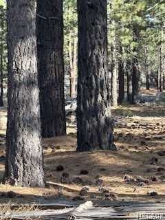 34557 Polique Canyon Trail Property Photo 4