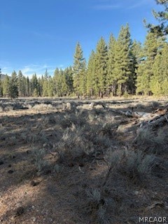 34557 Polique Canyon Trail Property Photo 8