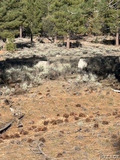 34557 Polique Canyon Trail Property Photo 10