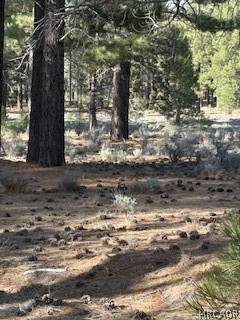 34557 Polique Canyon Trail Property Photo 11