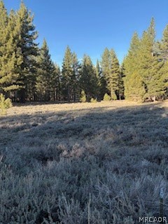 34557 Polique Canyon Trail Property Photo 15