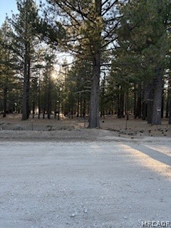 34557 Polique Canyon Trail Property Photo 19