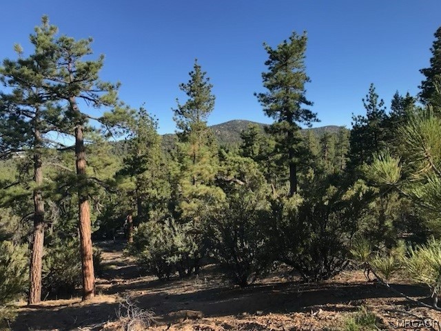 34557 Polique Canyon Trail Property Photo 23