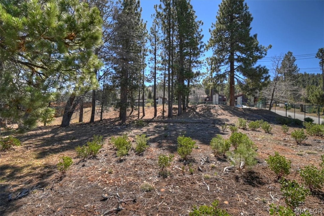 41711 Switzerland Drive Property Photo 11