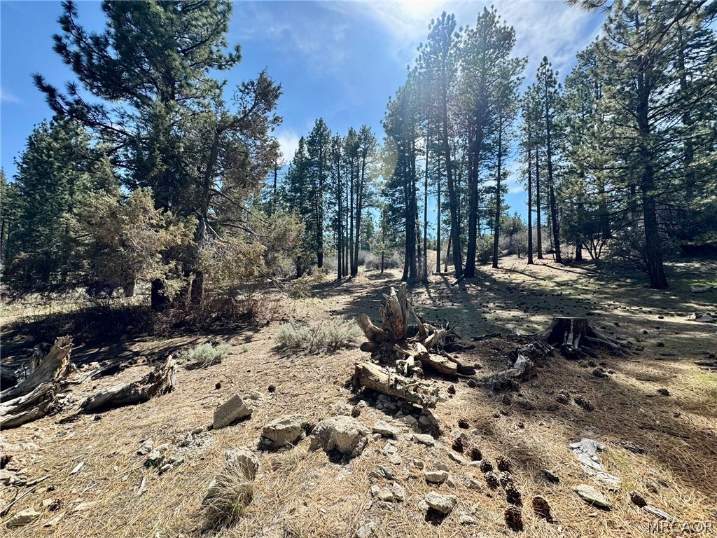 209 Dawn Drive Property Photo 28