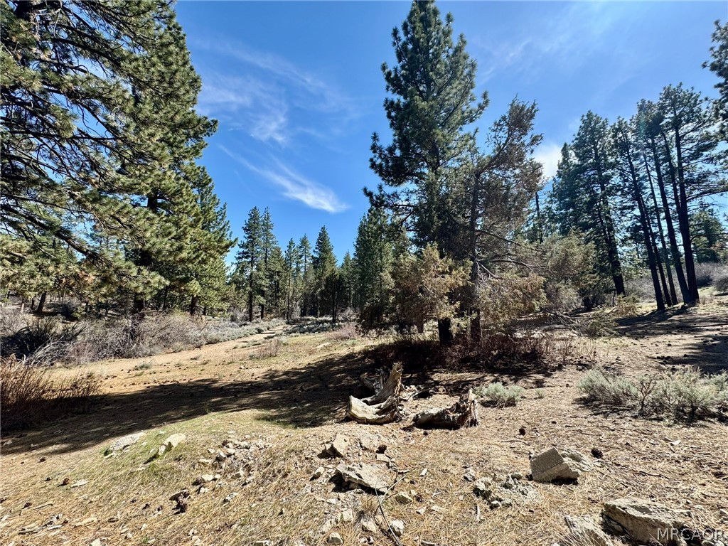 209 Dawn Drive Property Photo 29