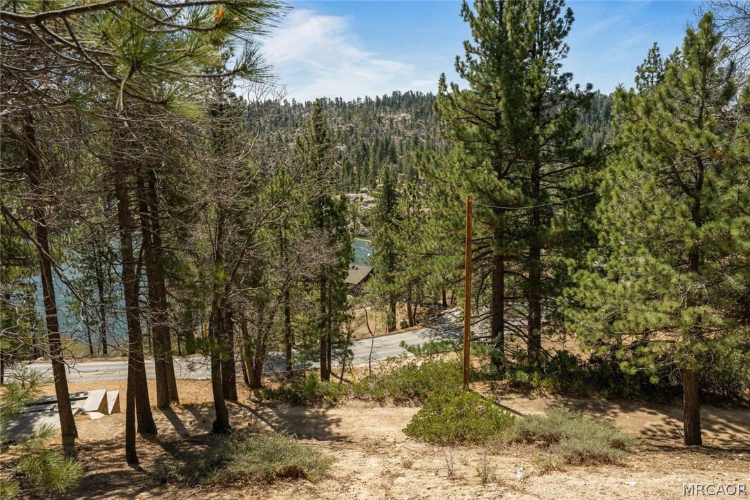 260 Nolan Trail Property Photo 36