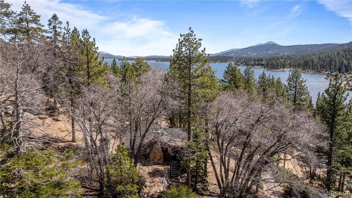 260 Nolan Trail Property Photo 38