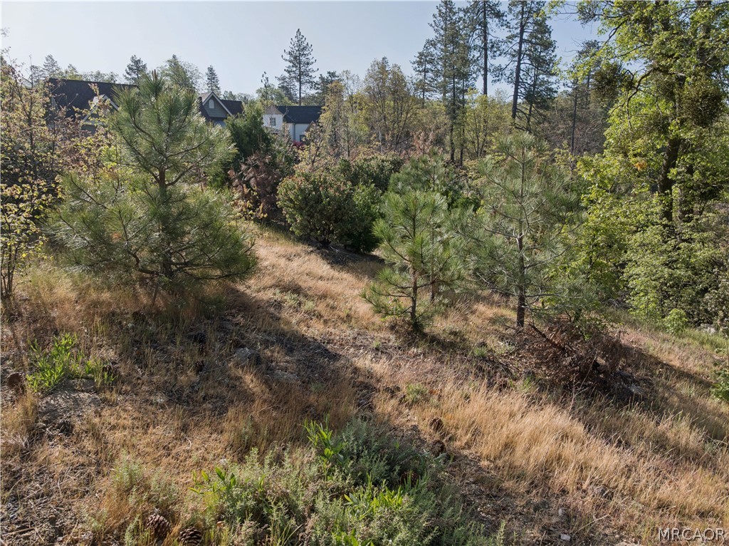 1180 Maverick Lane Property Photo 14