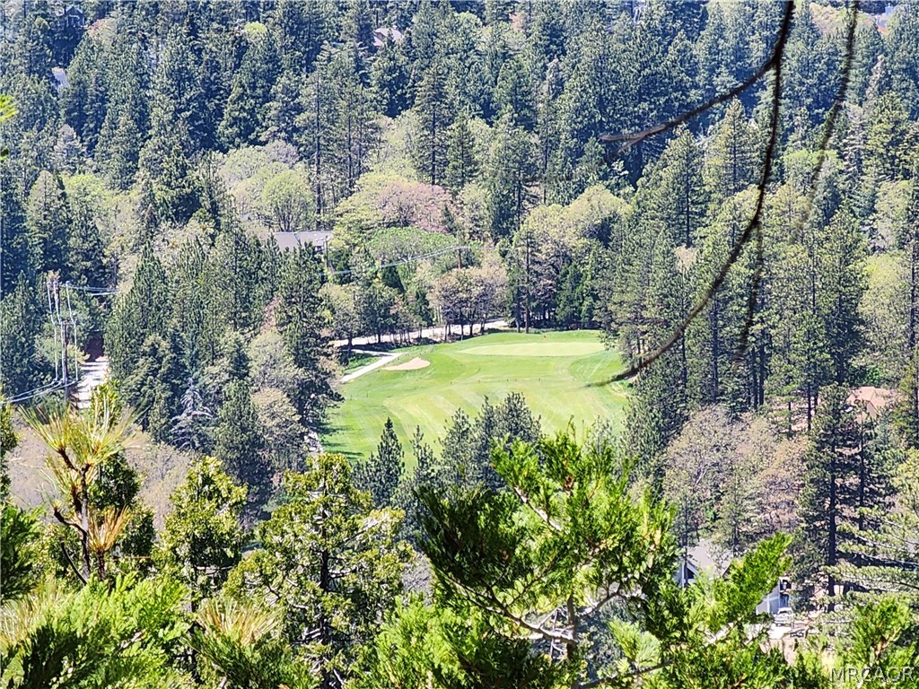132 Grizzly Road Property Photo 13