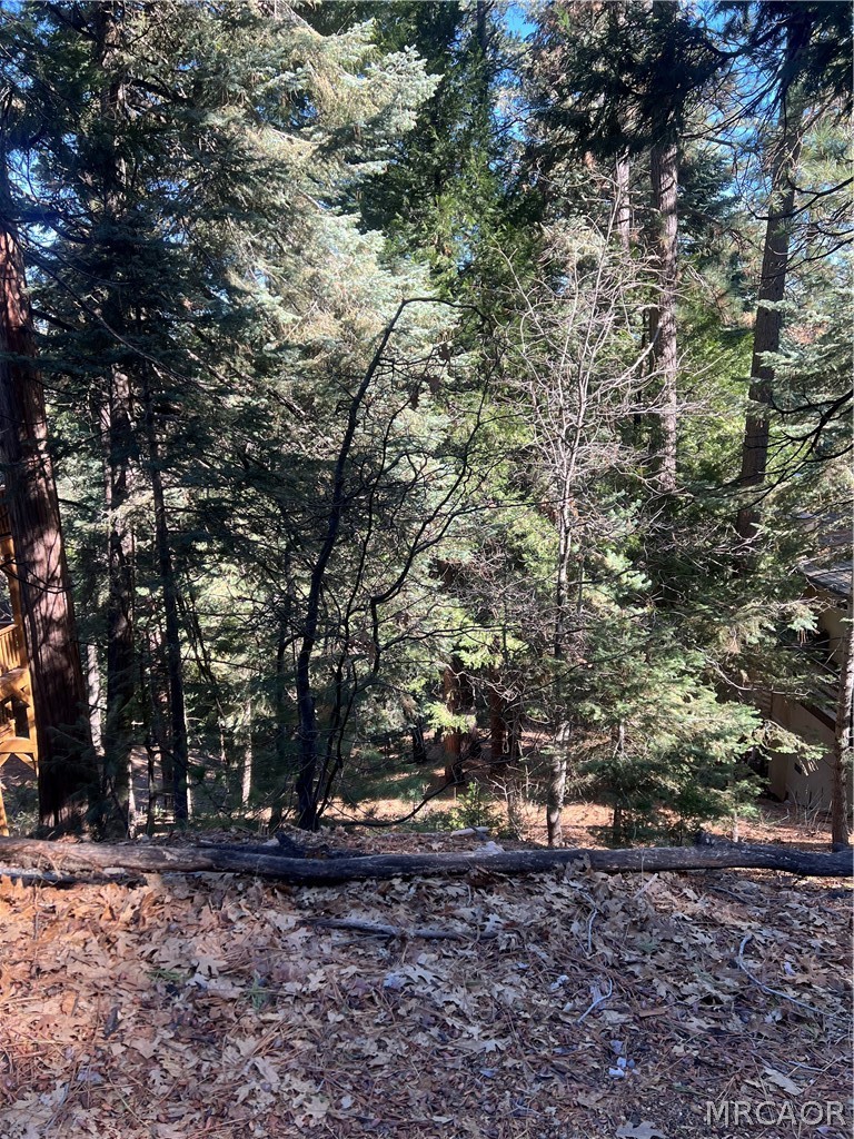 0 Forest Property Photo 2