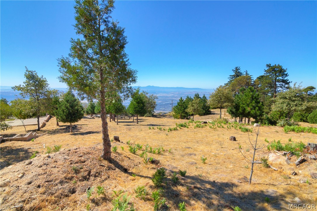 26262 Highway 18 Property Photo 11