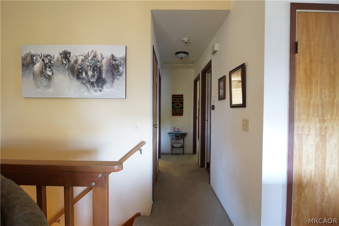 33393 Robin Drive Property Photo 56