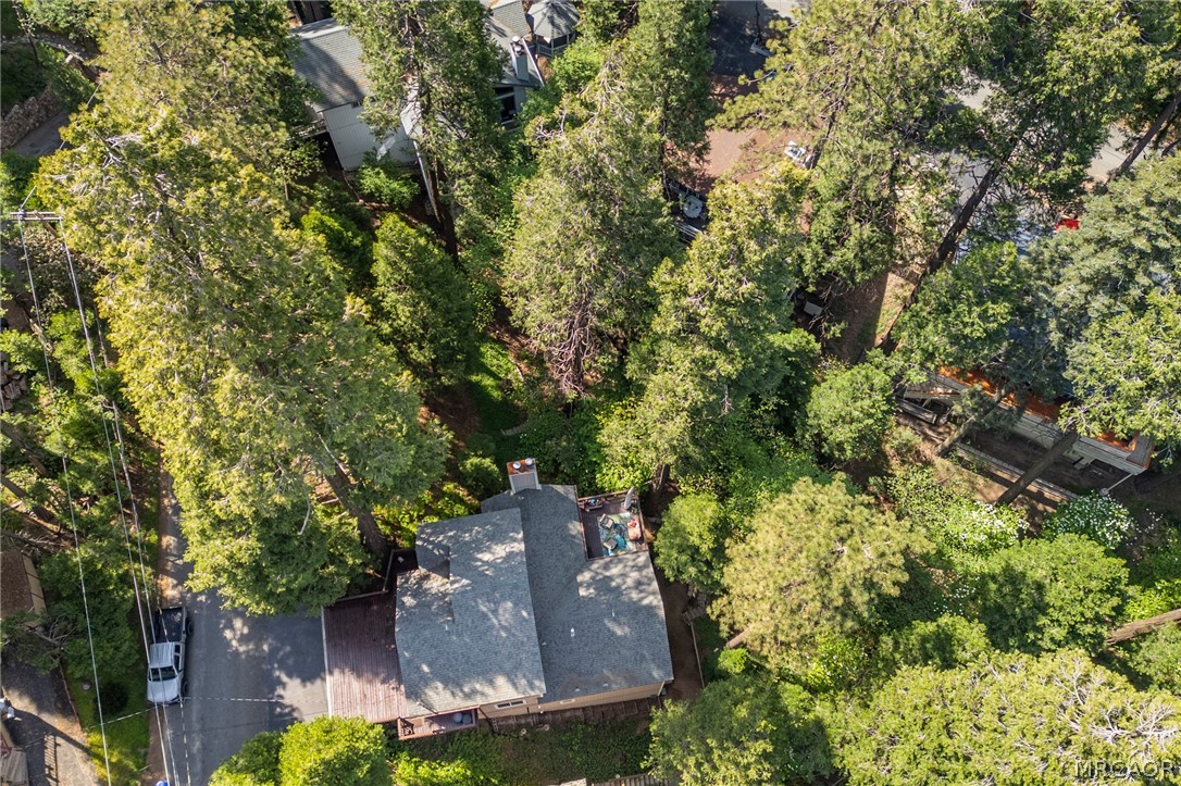24380 Horst Drive Property Photo 44