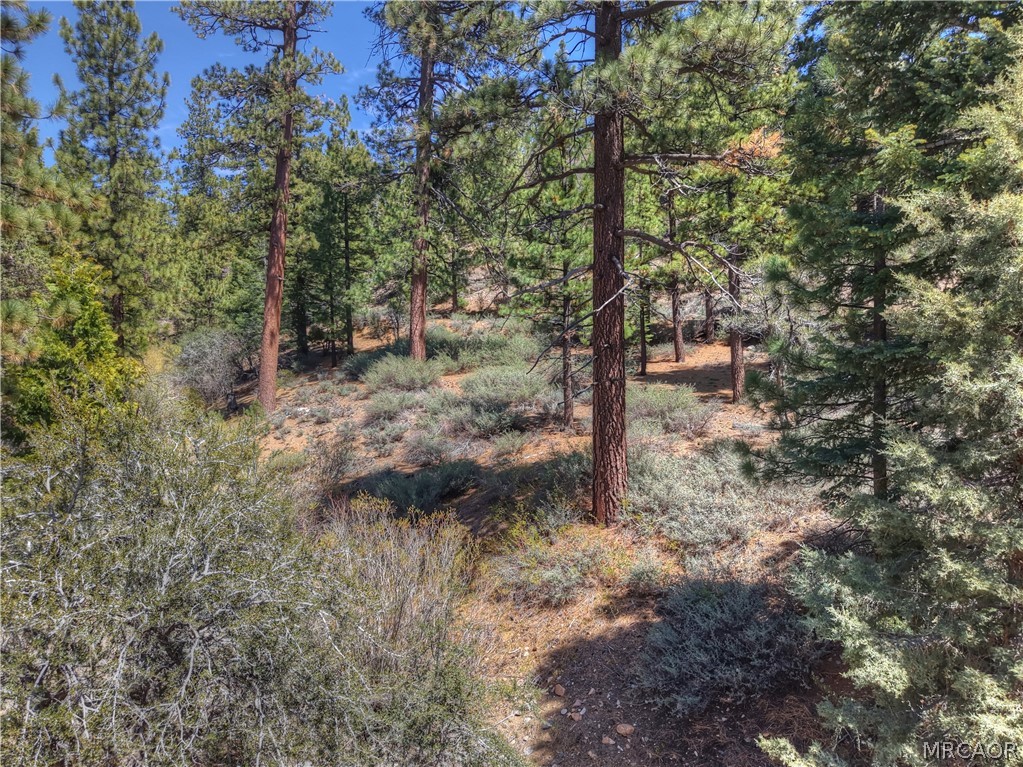 1099 Canyon Road Property Photo 26