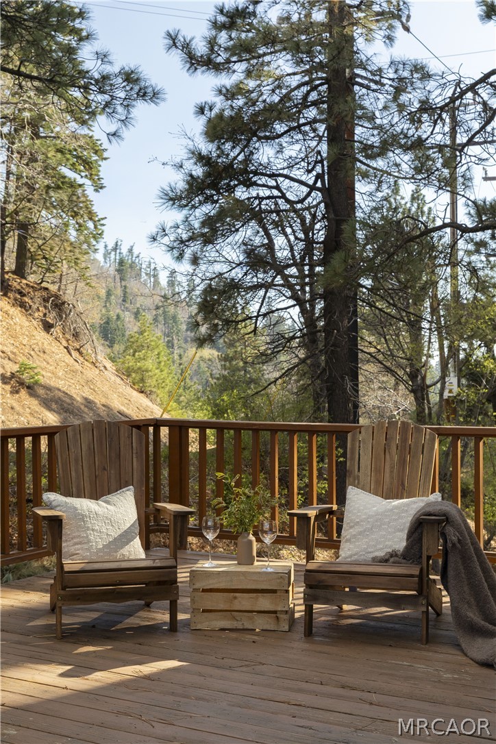 33037 Canyon Drive Property Photo 17