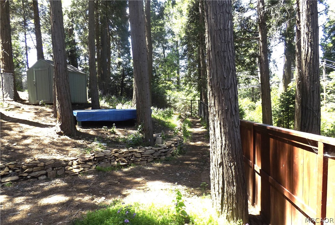 590 Lanes End Trail Property Photo 13