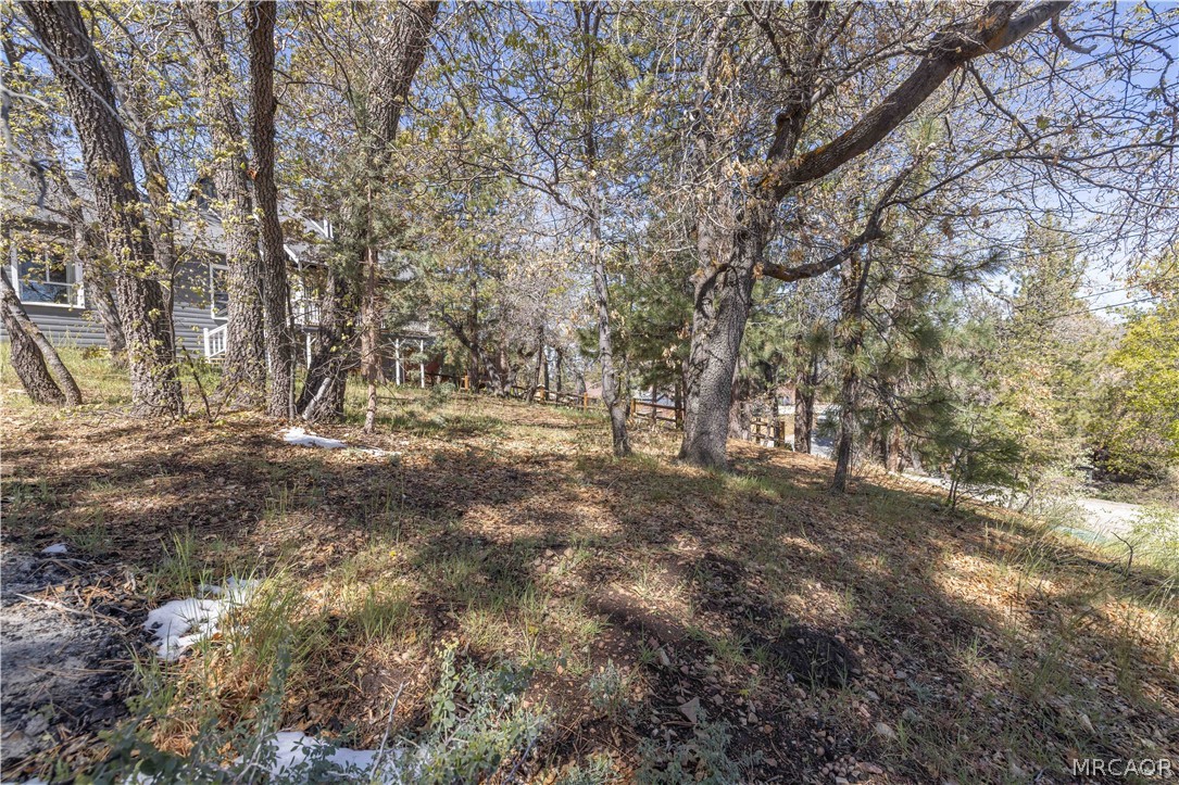 721 Villa Grove Avenue Property Photo 29