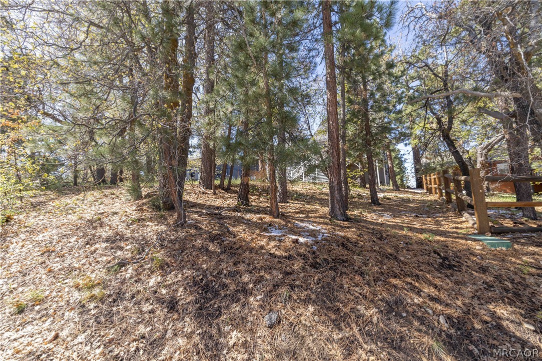 721 Villa Grove Avenue Property Photo 31