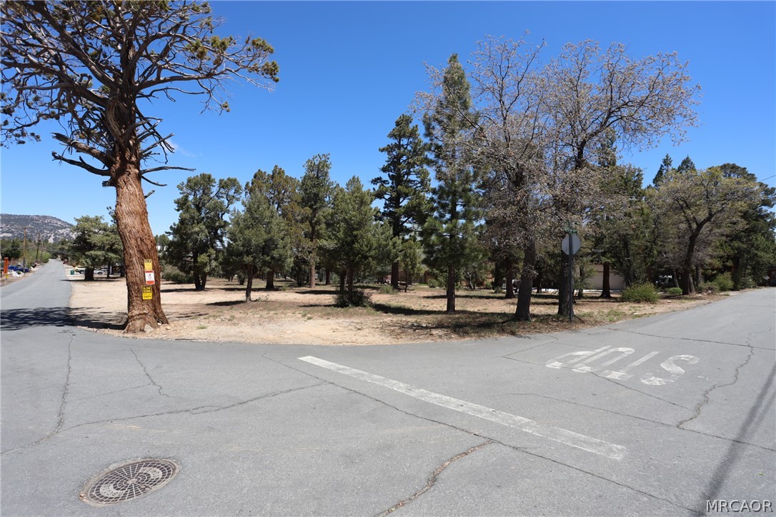 0 Dixie Lee Property Photo 1