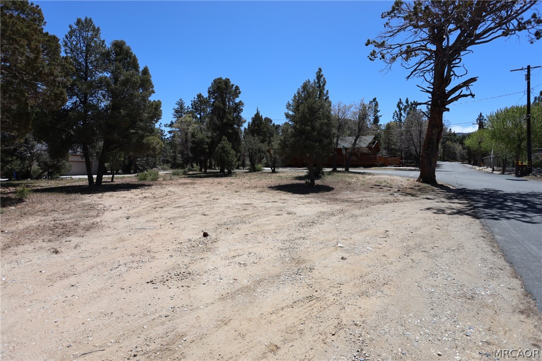 0 Dixie Lee Property Photo 7