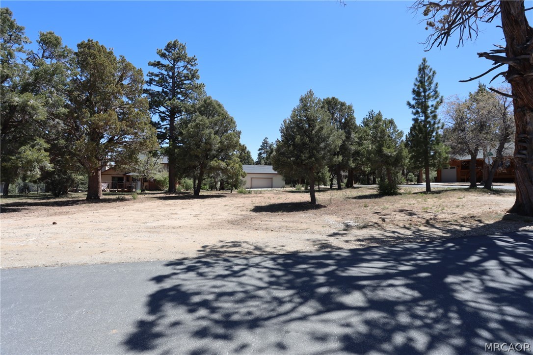0 Dixie Lee Property Photo 8