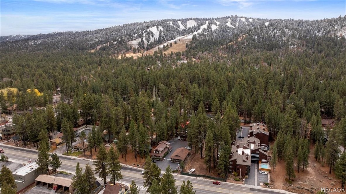 41609 Big Bear Boulevard Property Photo 55