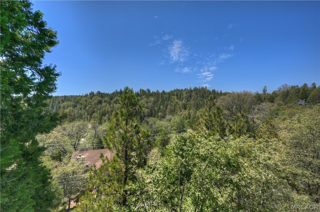 27392 Peninsula Drive Property Photo 40