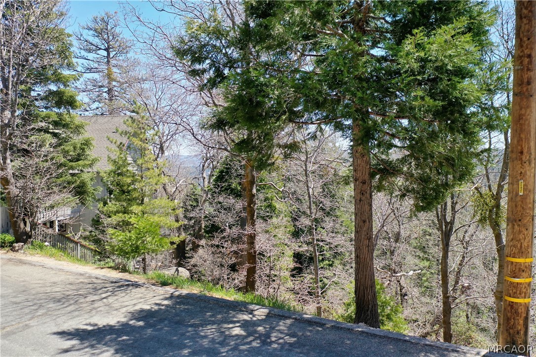 0 Old Toll Road Property Photo 6