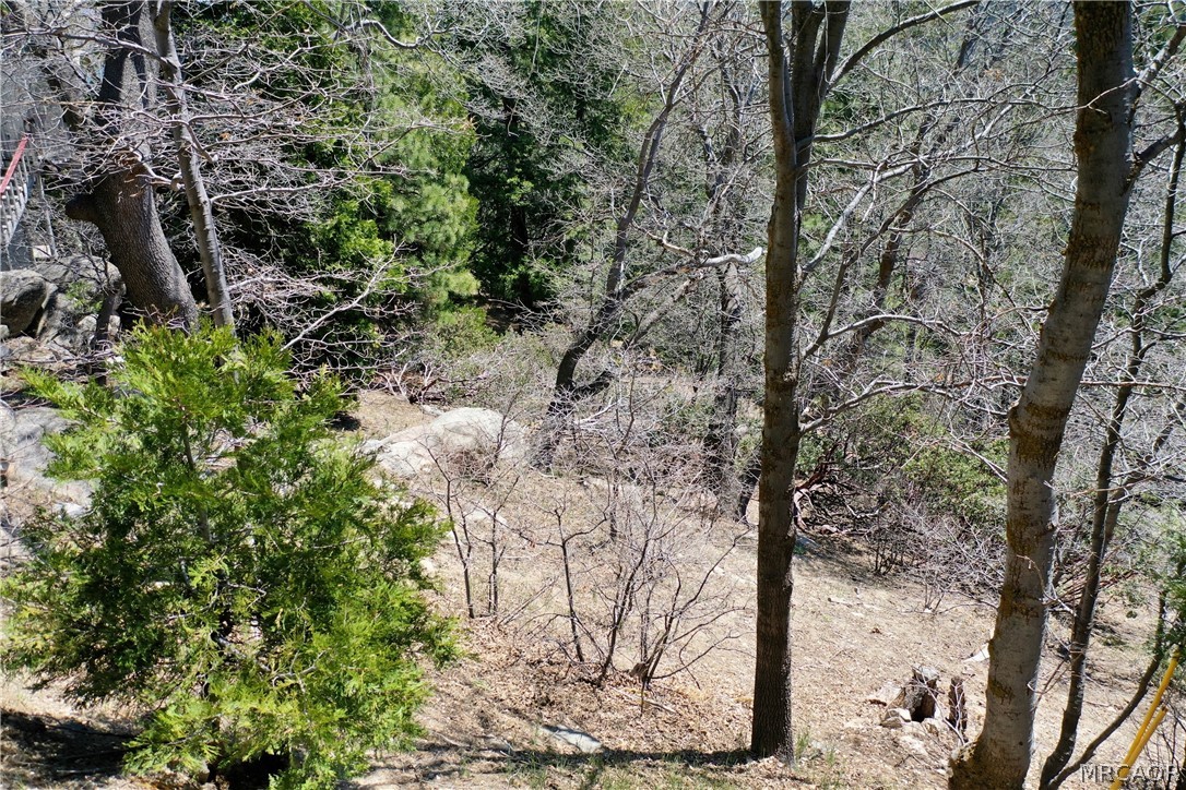 0 Old Toll Road Property Photo 8