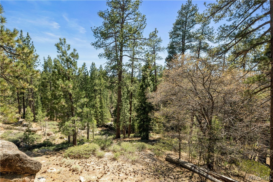 7 Pine Knot Road Property Photo 12