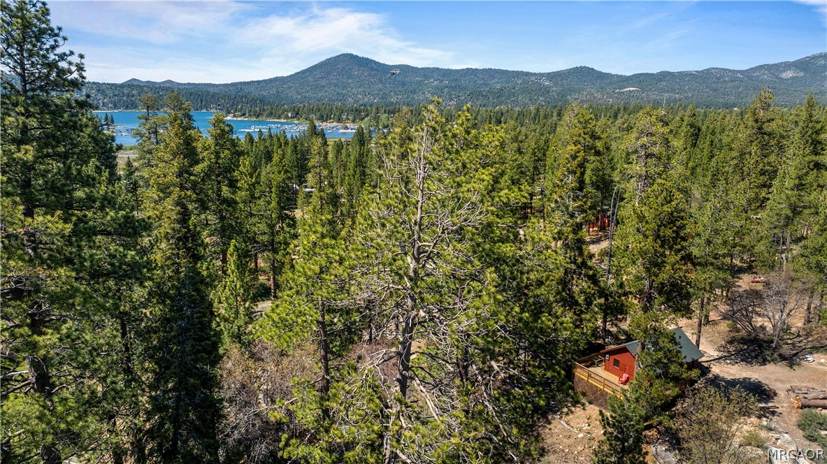 7 Pine Knot Road Property Photo 21