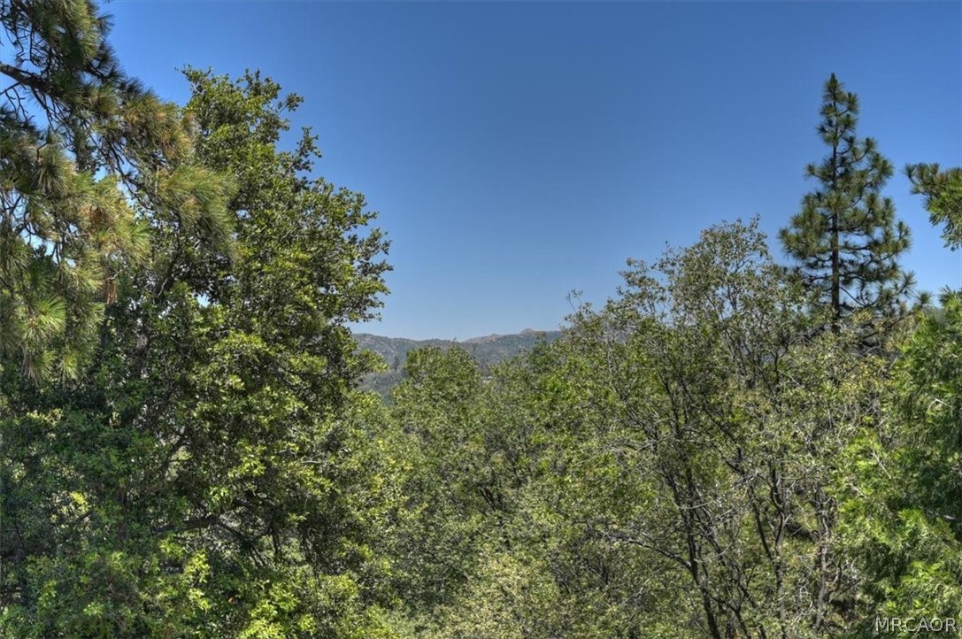 395 Wylerhorn Drive Property Photo 20