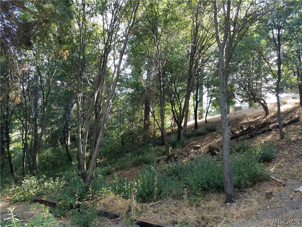 24093 Zurich Drive Property Photo 5