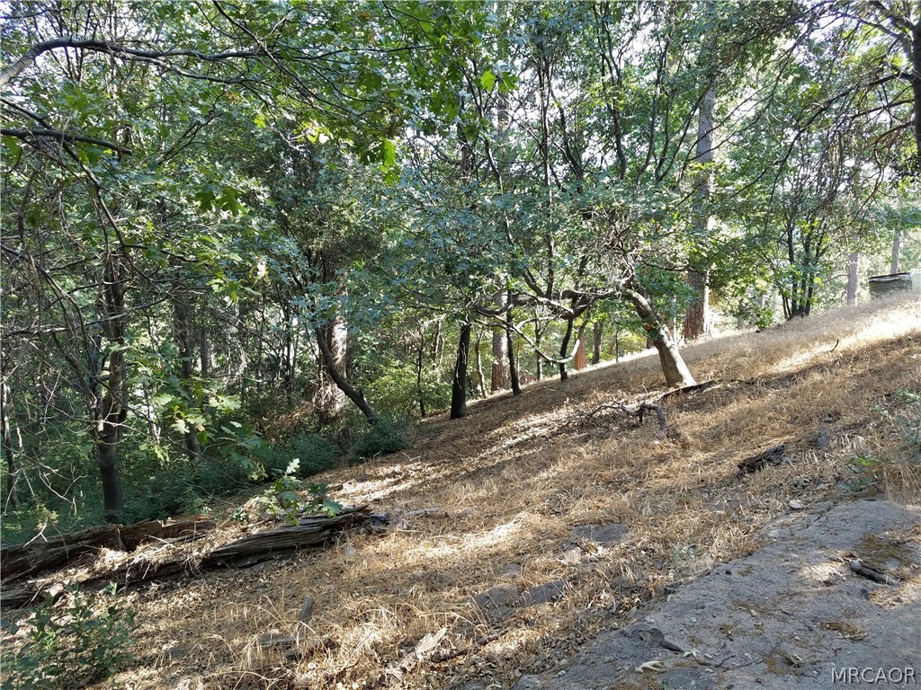 24093 Zurich Drive Property Photo 7