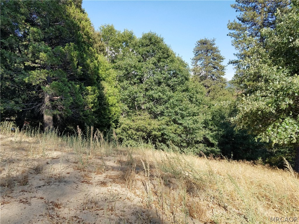 24093 Zurich Drive Property Photo 13