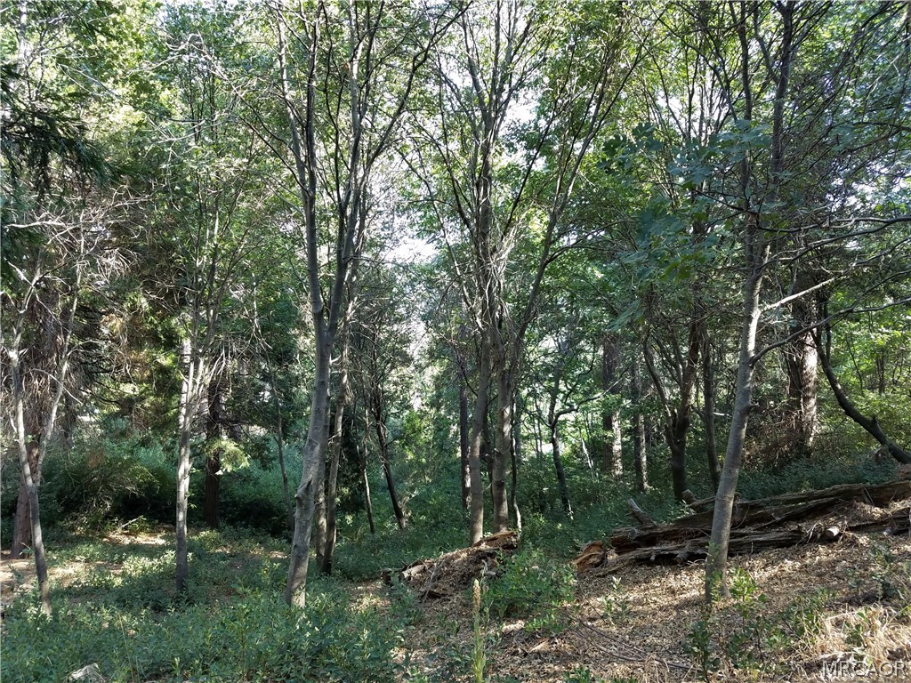 24093 Zurich Drive Property Photo 16