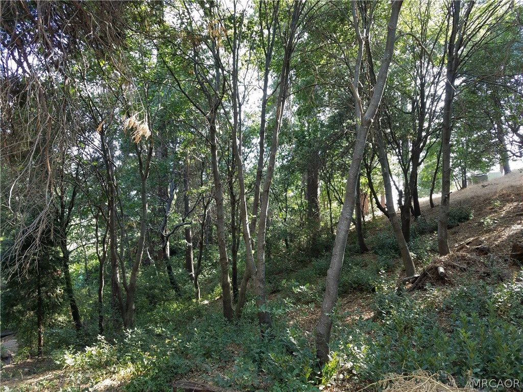 24093 Zurich Drive Property Photo 18