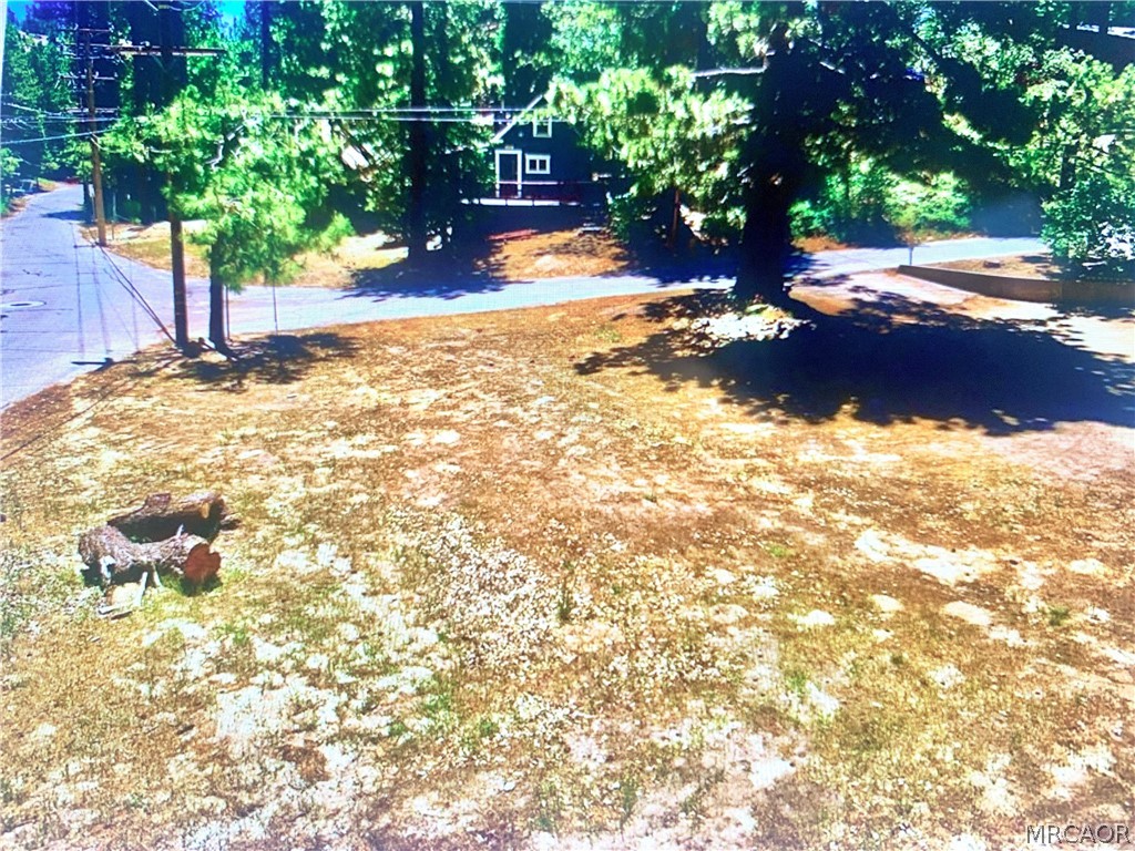 33350 Iris Drive Property Photo 2