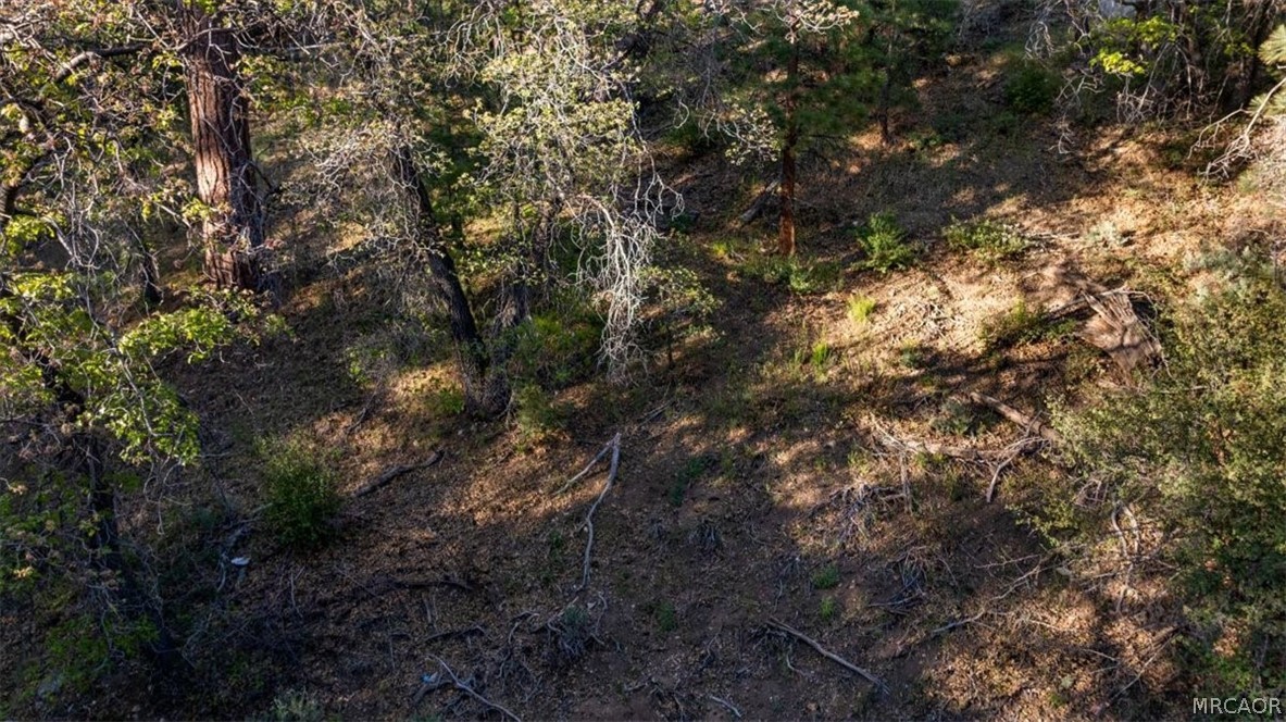 1230 Minton Avenue Property Photo 2