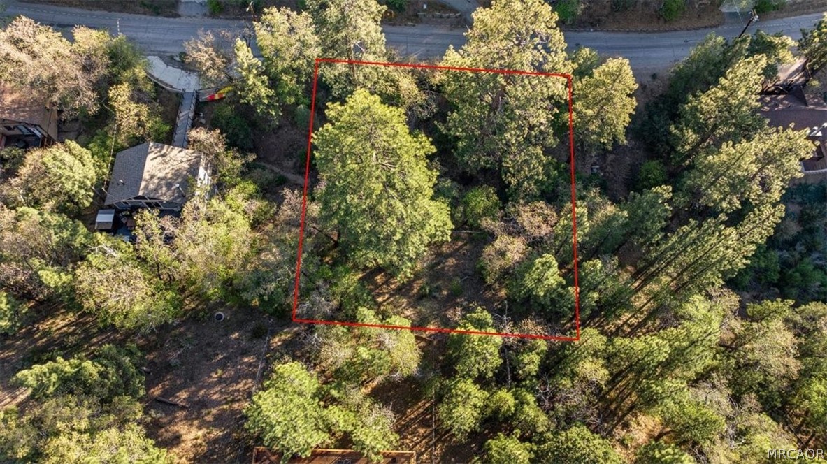 1230 Minton Avenue Property Photo 6