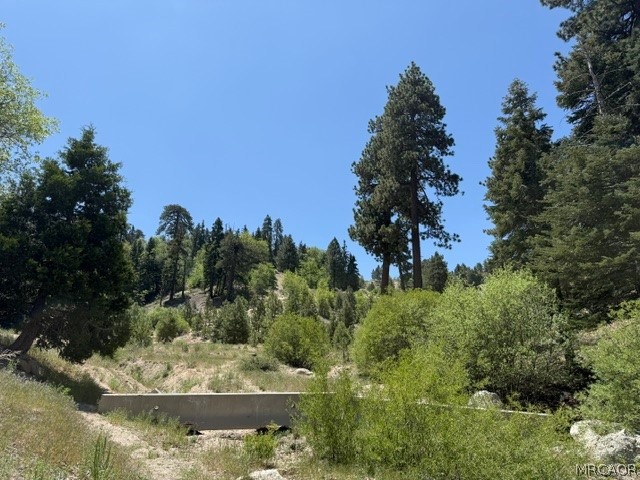 33285 Angeles Drive Property Photo 25