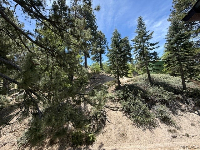 33285 Angeles Drive Property Photo 49