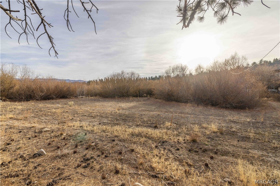 39271 Seminole Drive Property Photo 9