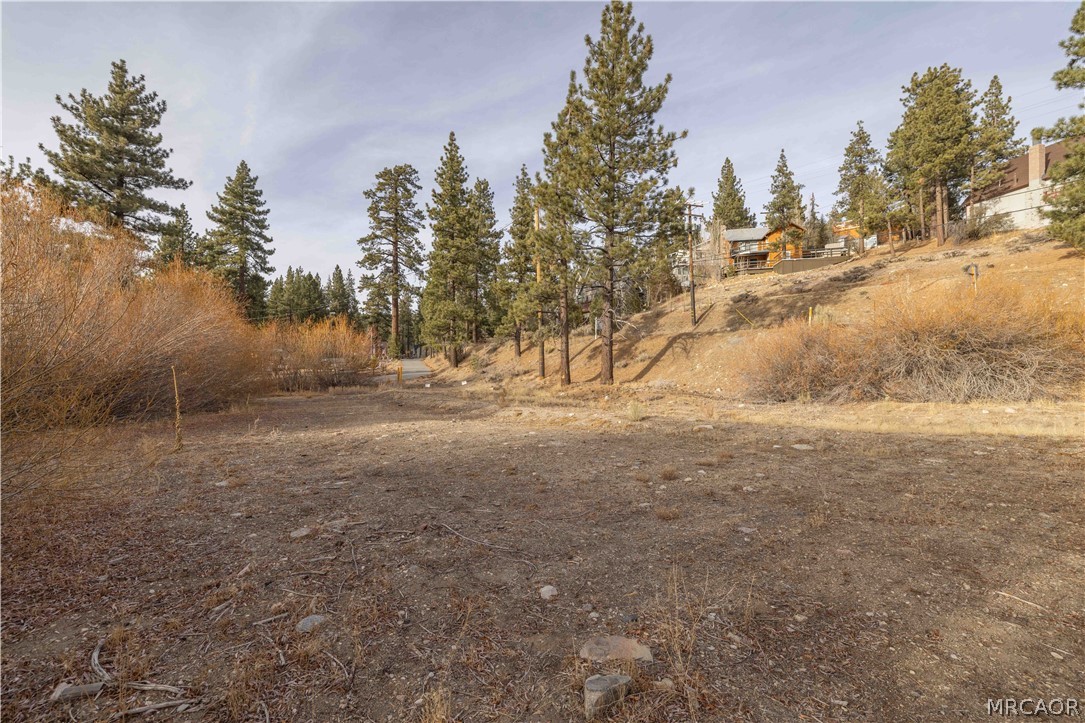 39271 Seminole Drive Property Photo 13