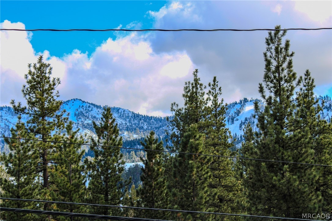 42830 Cougar Road Upper Property Photo 21