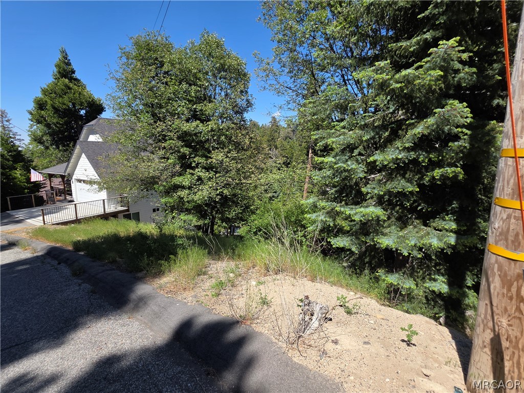0 Shenandoah Drive Property Photo 1