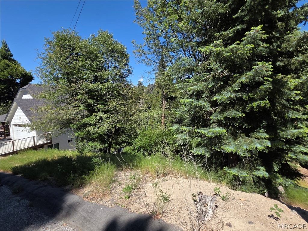 0 Shenandoah Drive Property Photo 2