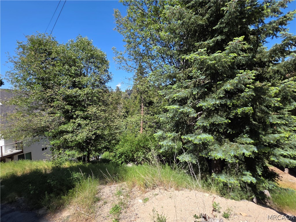 0 Shenandoah Drive Property Photo 4