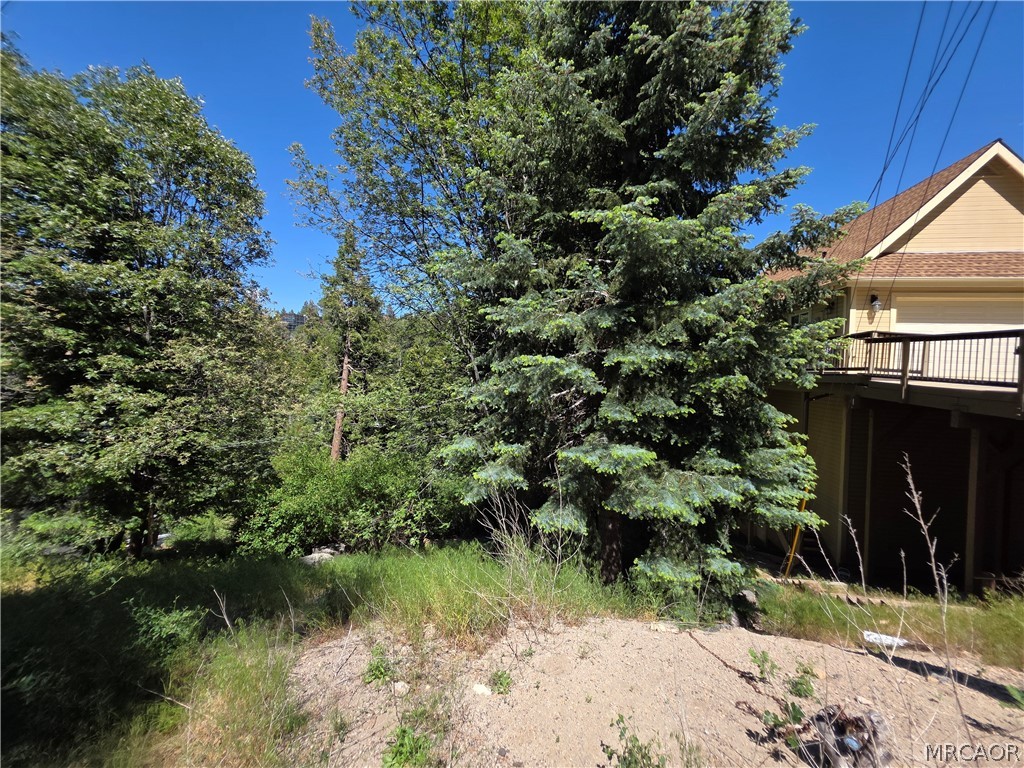 0 Shenandoah Drive Property Photo 9